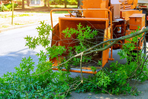 Mulching Services in Sunray, TX