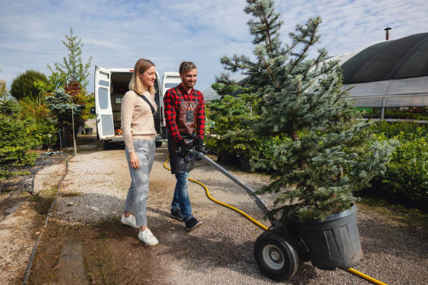 Sunray, TX Tree Services Company